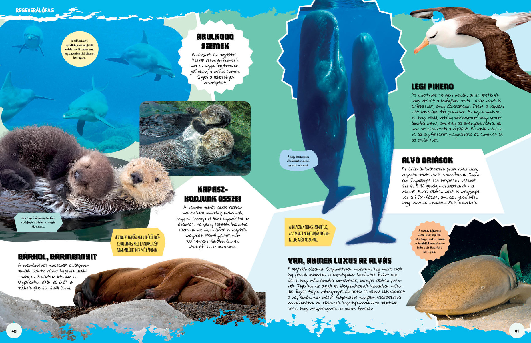 Ez állati! Trükkök és szuperképességek